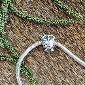 PANDORA Jewelry Owl Charm